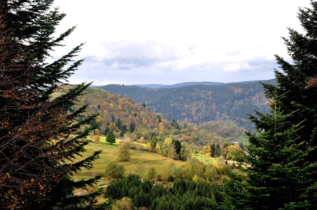 Paysage de montagne dans les Vosges avec forêts, vu depuis un point haut