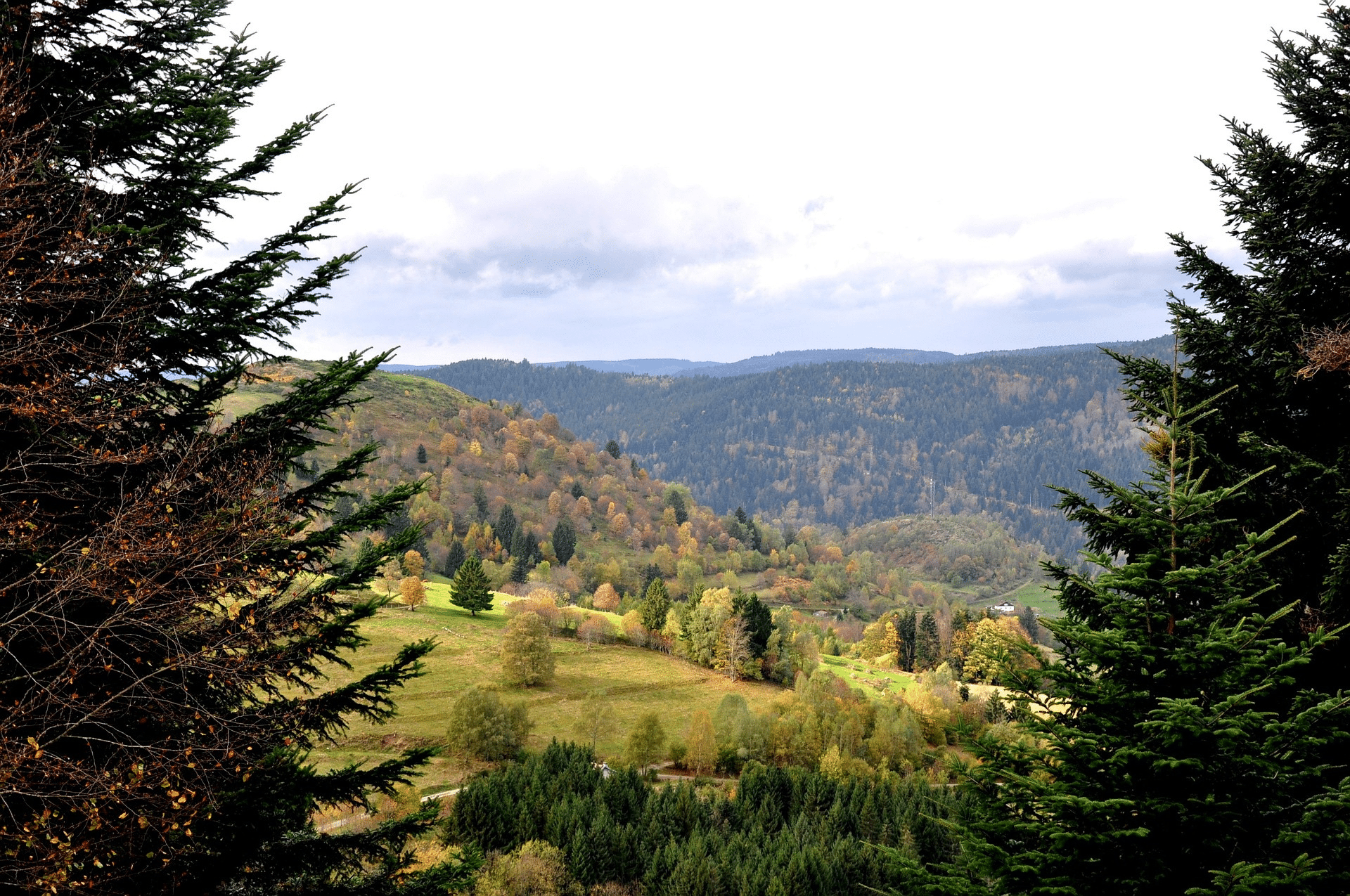Berglandschap in de Vogezen met bossen, gezien vanaf een hooggelegen punt