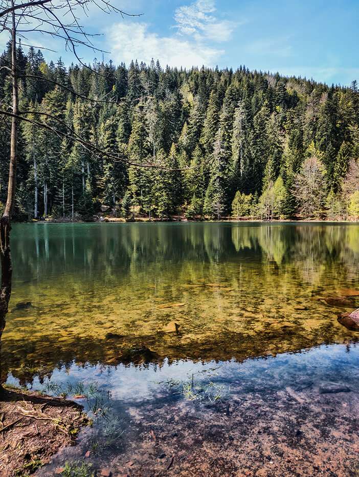 Lac de la Maix – Reflets paisibles en pleine forêt