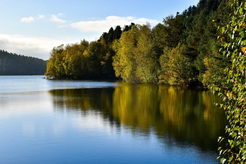 Vue sur le Lac de Pierre-Percée entouré de forêts dans les Vosges