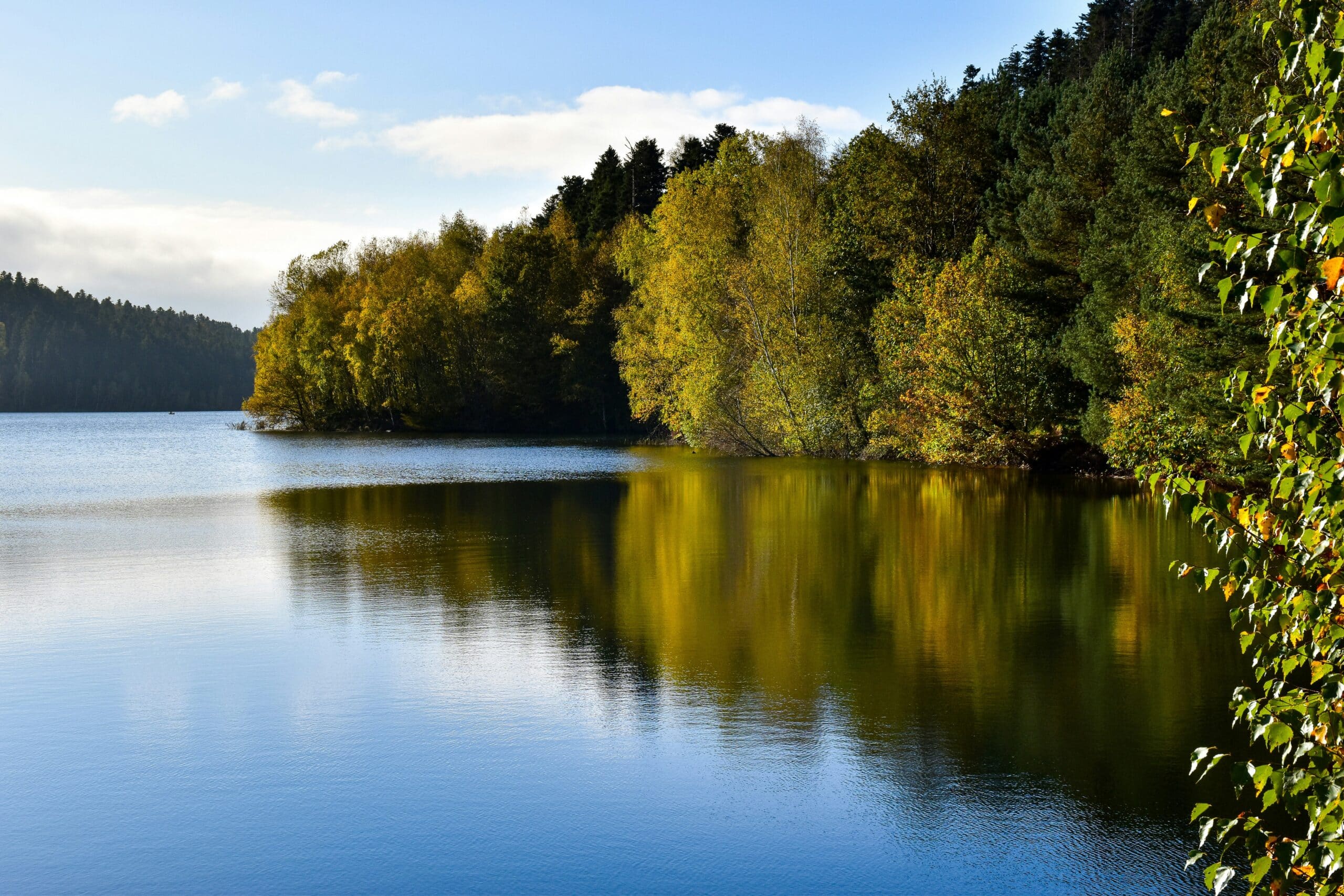 Vue sur le Lac de Pierre-Percée entouré de forêts dans les Vosges