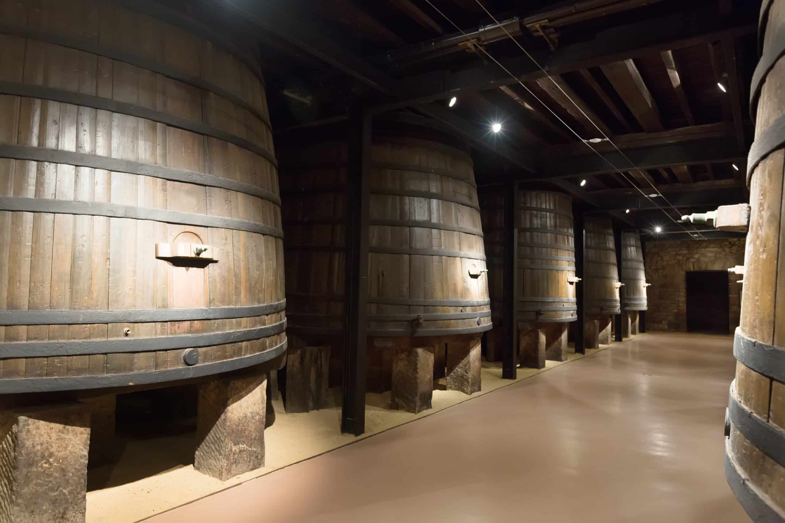 Grande cave voutée avec des tonneaux en bois massif, utilisés pour le vieillissement du vin