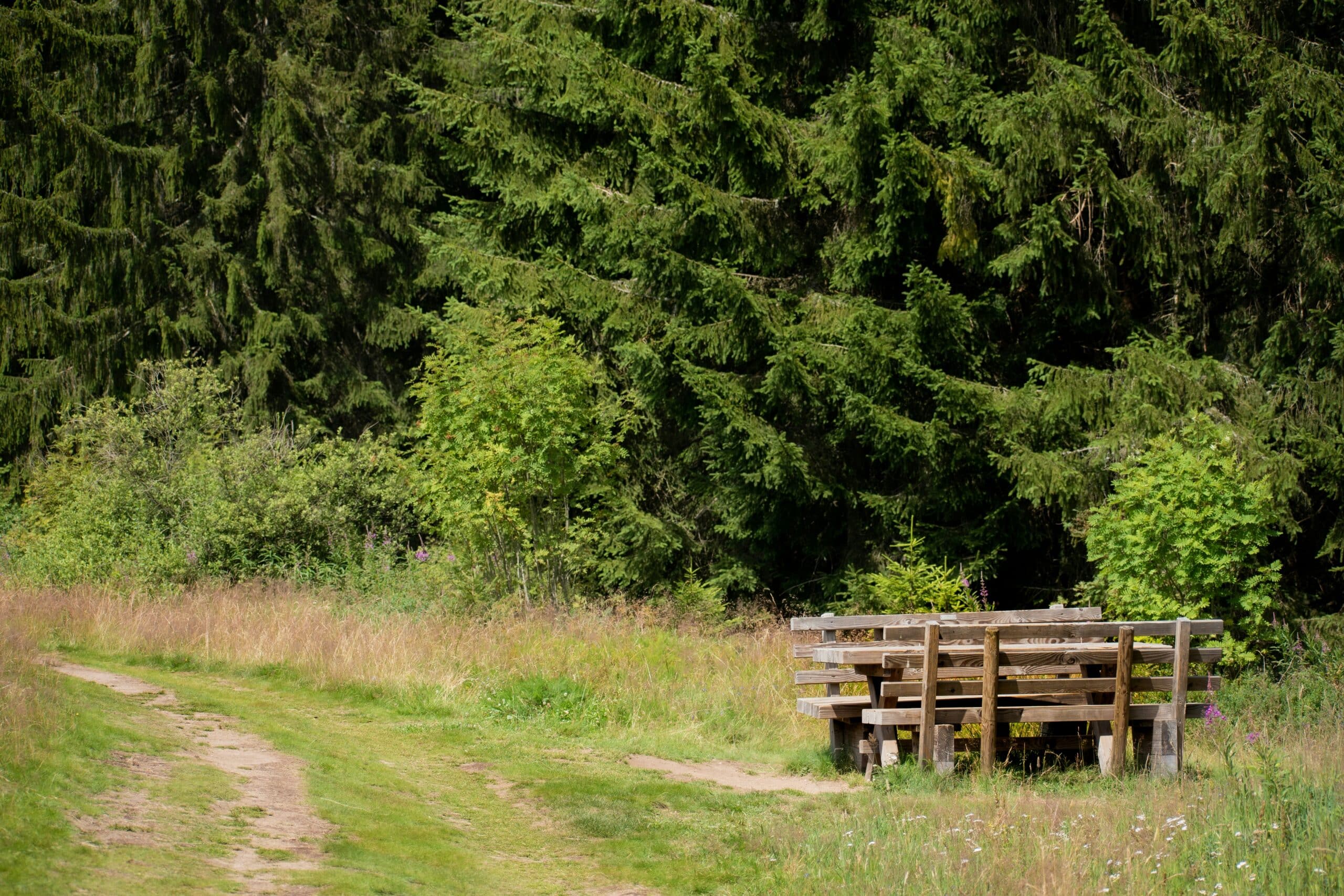 Table de pique-nique dans les Vosges