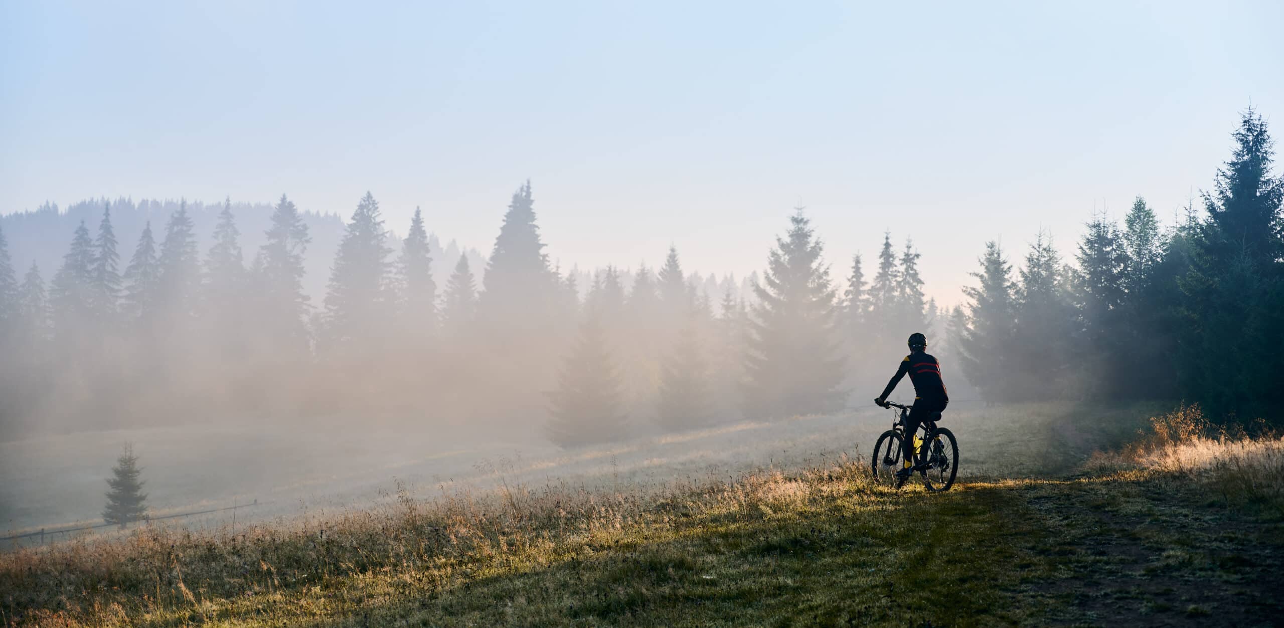 Eenzame fietser op de Route des Crêtes in de Vogezen, in de vroege ochtend, omringd door dennen en lichte mist.
