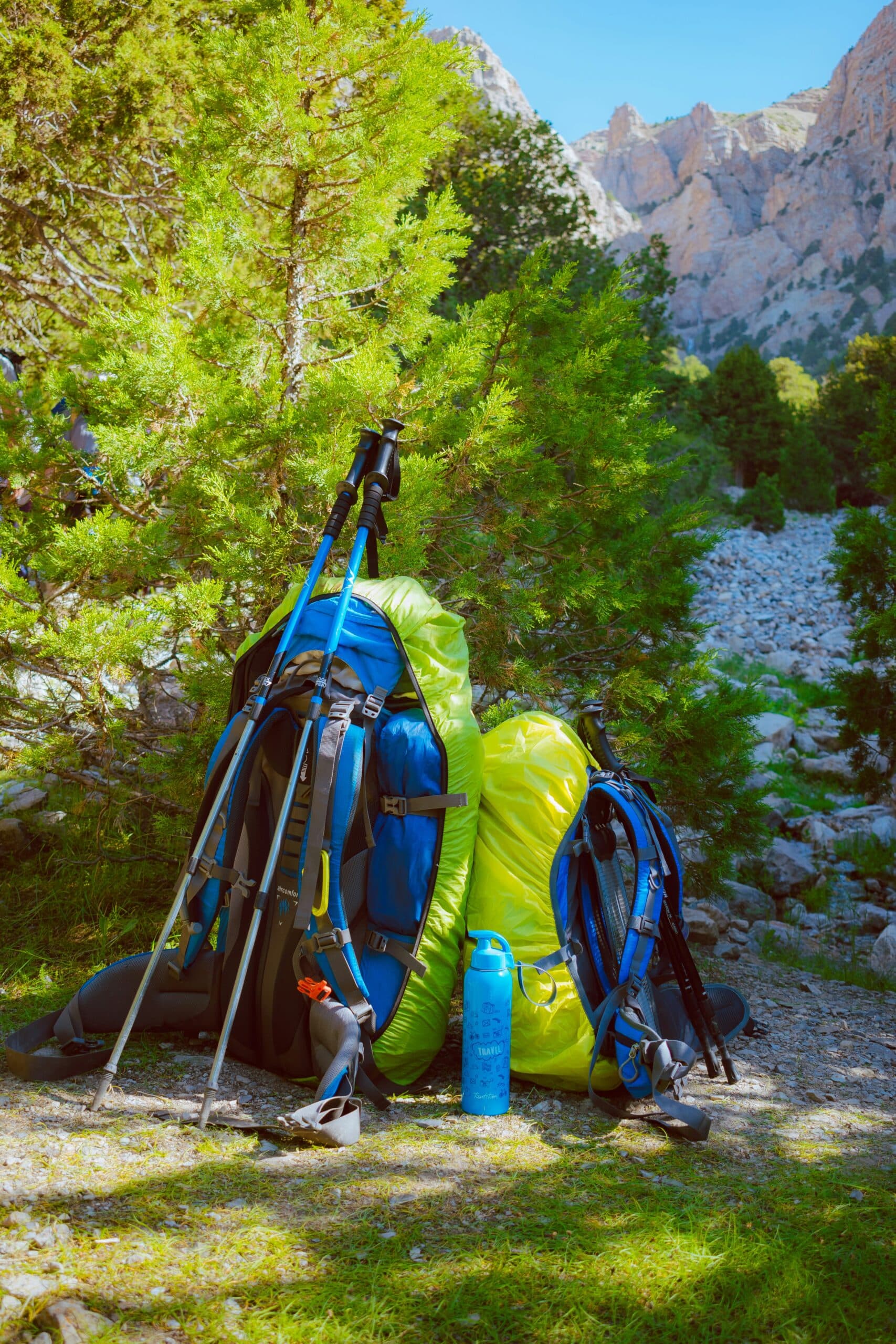 Sacs à dos et bâtons de randonnée posés dans la nature, prêts pour une sortie dans les Vosges