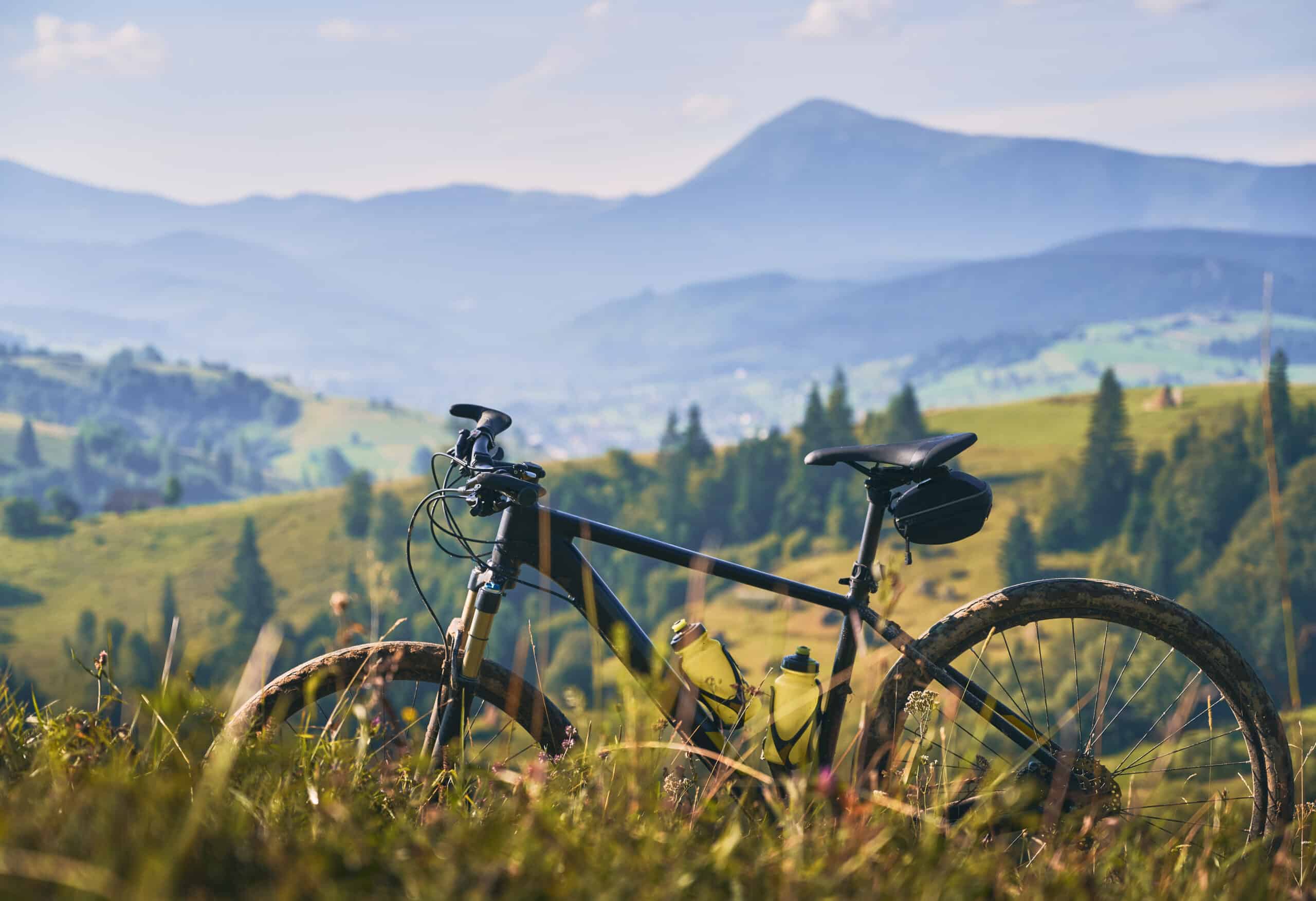 Een mountainbike staat in een bergweide met uitzicht op de toppen van de Vogezen op de achtergrond.