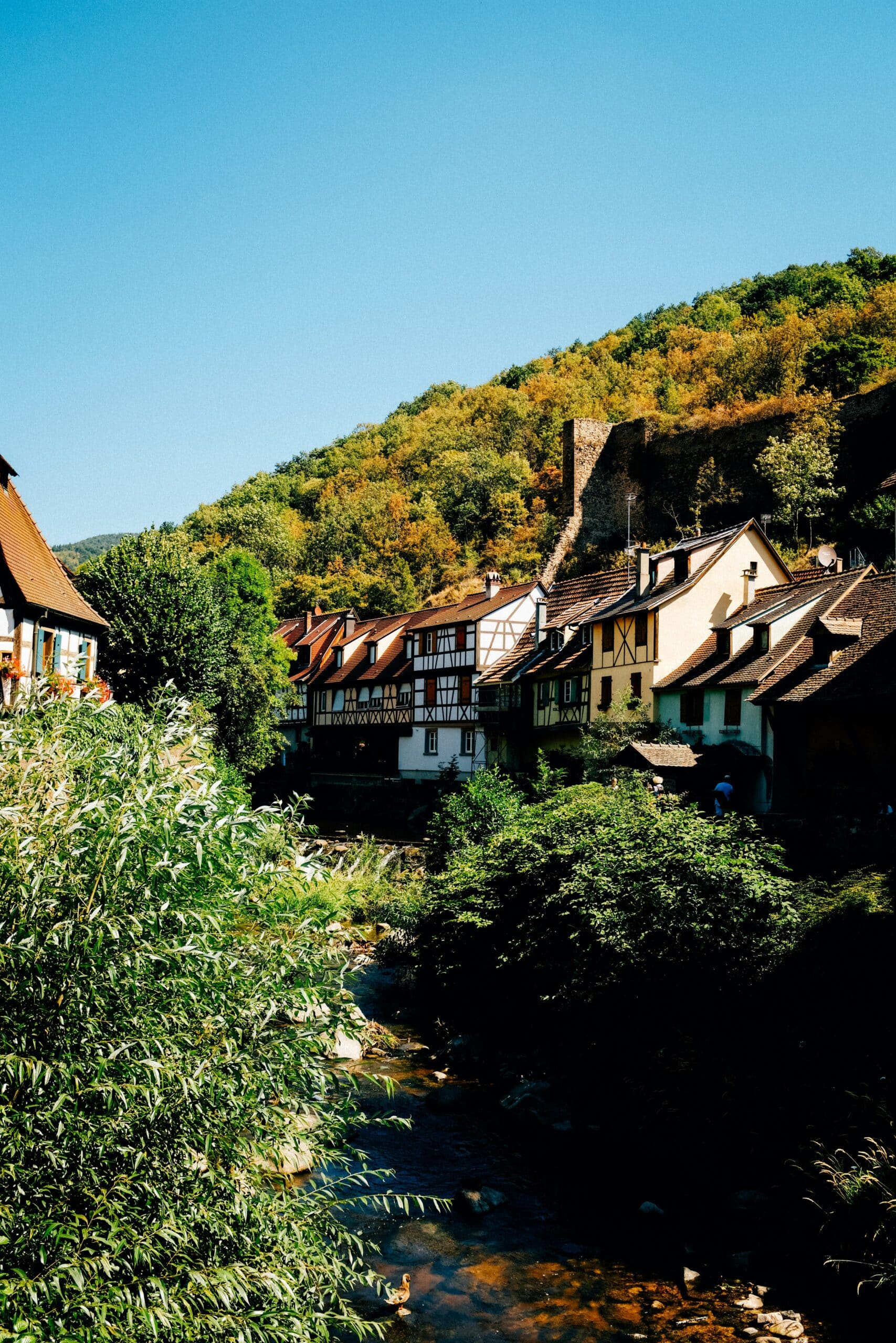 Maisons à colombages dans un village vosgien avec rivière et collines boisées en arrière-plan